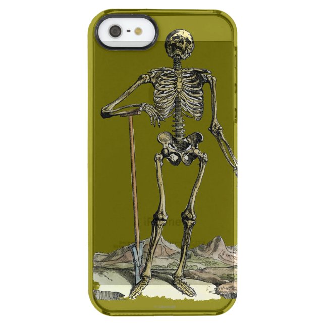Vesalius: Skeletal System Uncommon iPhone Case (Back)
