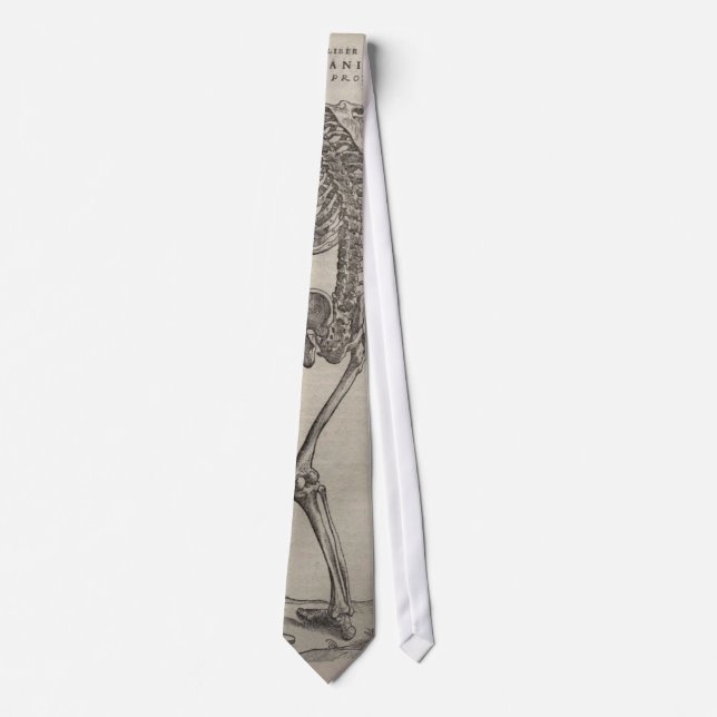Vesalius's Fabrica Neck Tie (Front)