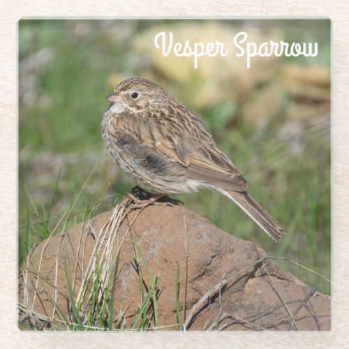 Vesper Sparrow Glass Coaster