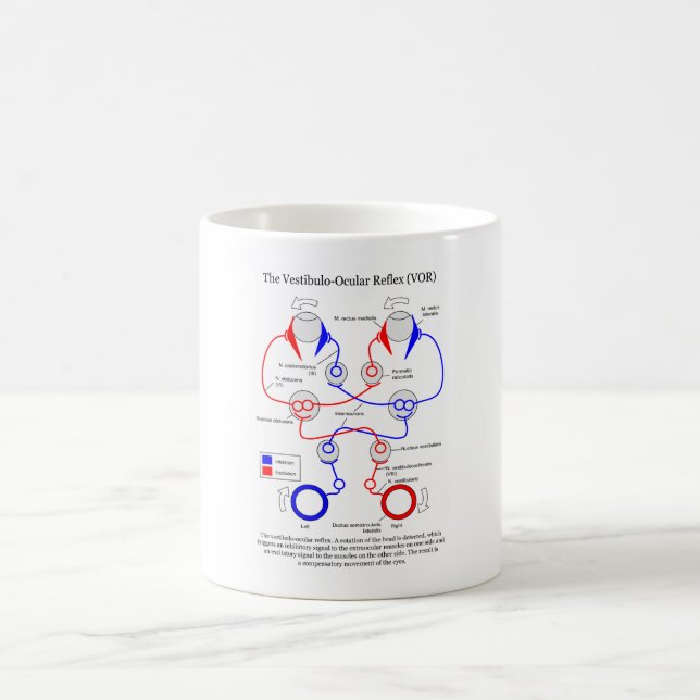 Vestibulo Ocular Reflex VOR Eye Movement Stabilize Coffee Mug (Center)