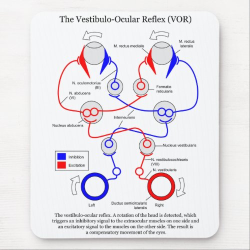 Vestibulo Ocular Reflex VOR Eye Movement Stabilize Mouse Pad