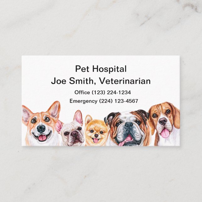 Vet Clinic, Animal Hospital & Pet Care  Business Card (Front)