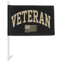 Veteran Veterans Day USA United States American