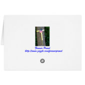 Veterans Day, Thank You - Military Greeting Card (Back Horizontal)