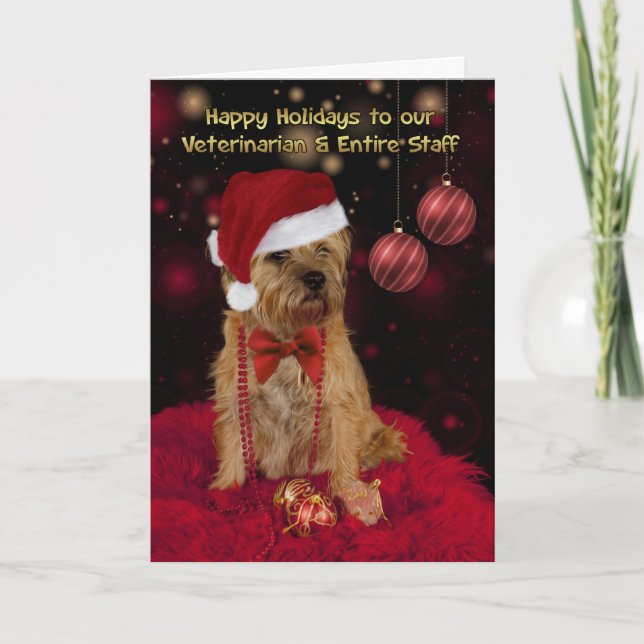 Veterinarian Border Terrier Dog In A Santa Hat Holiday Card (Front)
