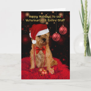 Veterinarian Border Terrier Dog In A Santa Hat Holiday Card