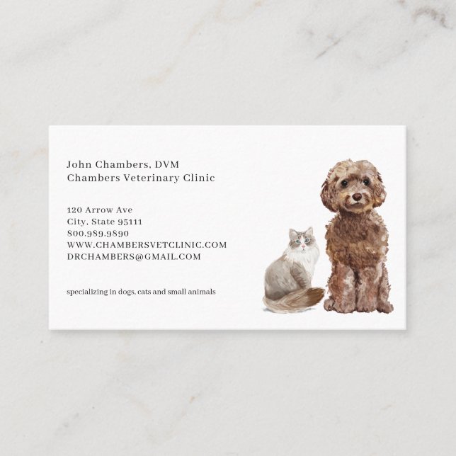 Veterinarian Business And Appointment Reminder Business Card (Front)