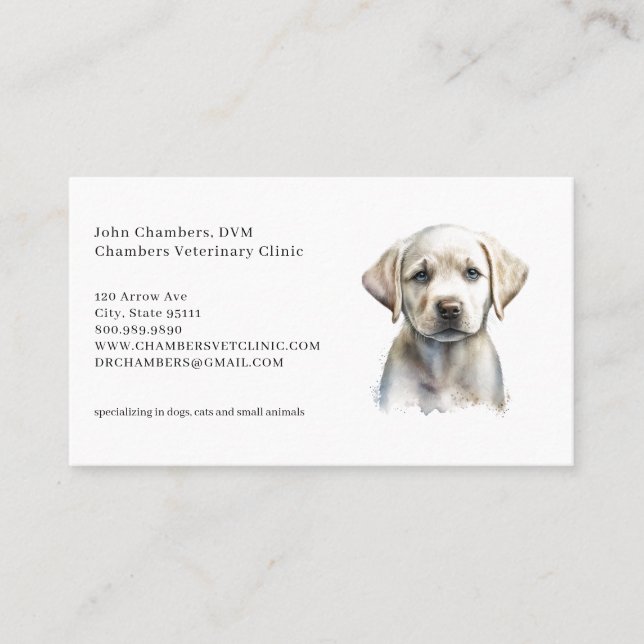 Veterinarian Business And Appointment Reminder Business Card (Front)