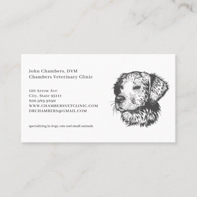 Veterinarian Business And Appointment Reminder Business Card (Front)