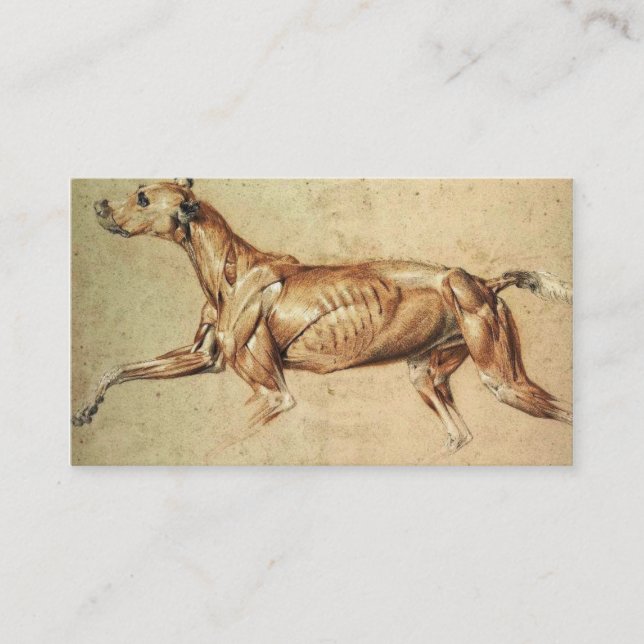 Veterinarian Business Card (Front)