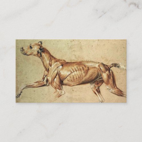 Veterinarian Business Card