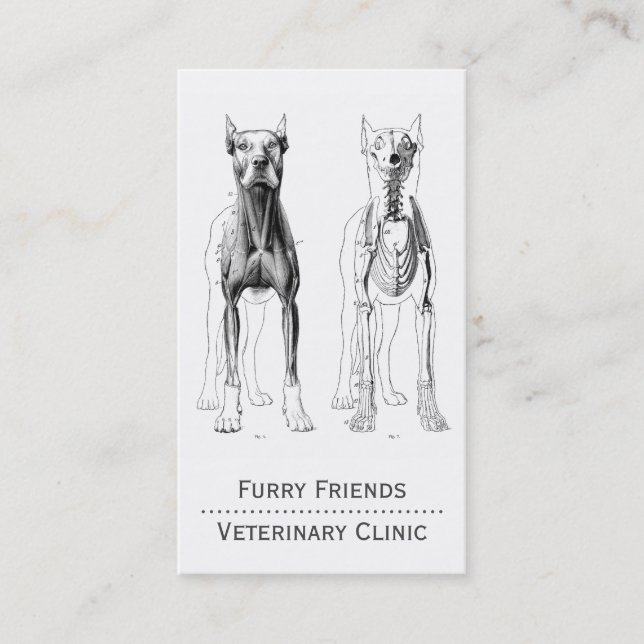 Veterinarian Business Card (Front)