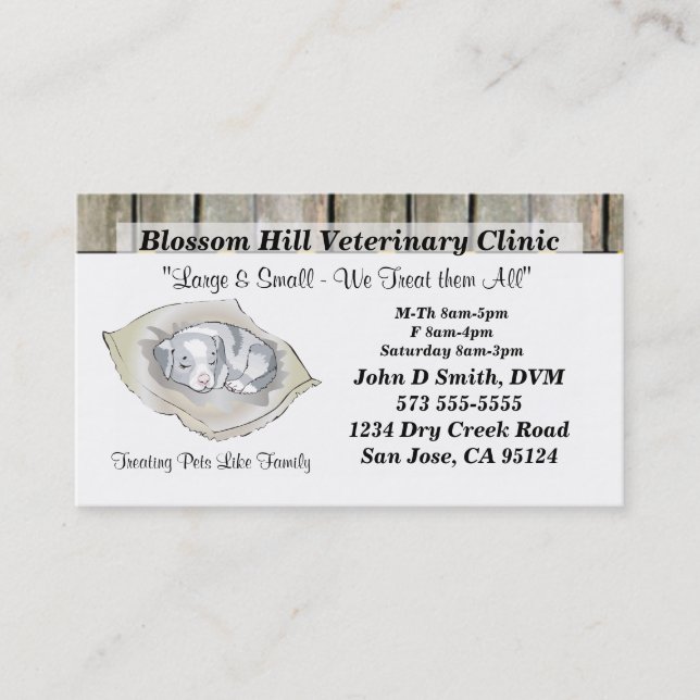 Veterinarian Business Card (Front)