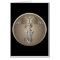 Veterinarian Caduceus