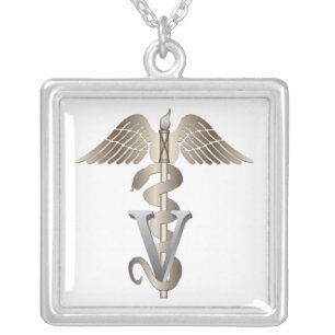 Veterinarian Caduceus Silver Plated Necklace