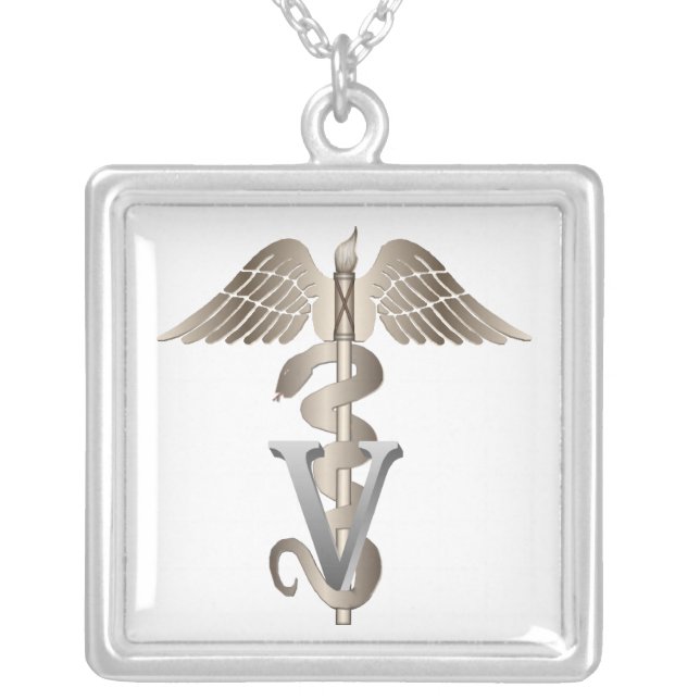 Veterinarian Caduceus Silver Plated Necklace (Front)