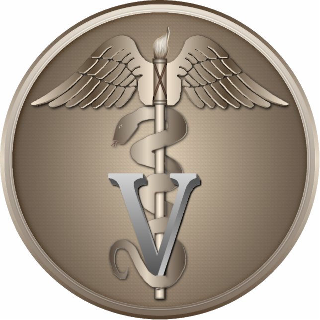 Veterinarian Caduceus Statuette (Front)