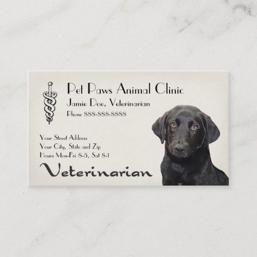 Veterinarian Clinic Animal Hospital Business Card