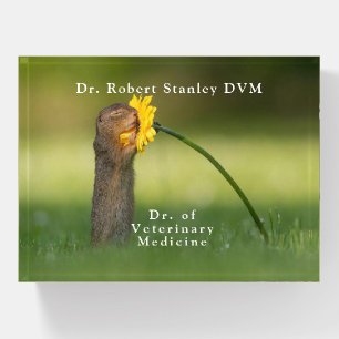 Veterinarian DVM  Squirrel Smelling Dandelion Paperweight