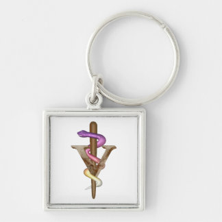 Veterinarian Emblem Keychain