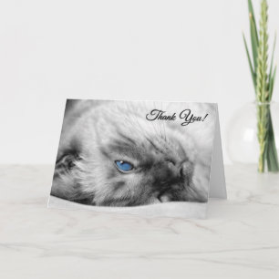 Veterinarian from the Cat Siamese Thank You Card