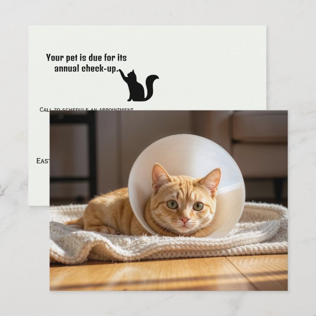 Veterinarian Ginger Cat Wearing a Cone of Shame Postcard (Front/Back)