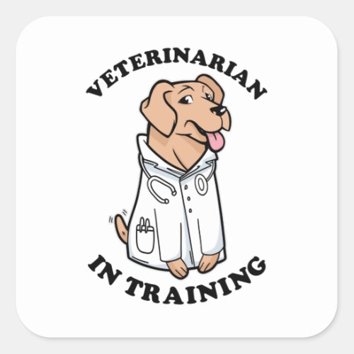 Veterinarian in Training Square Sticker