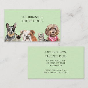 Veterinarian Painted Cats Dogs Business Card