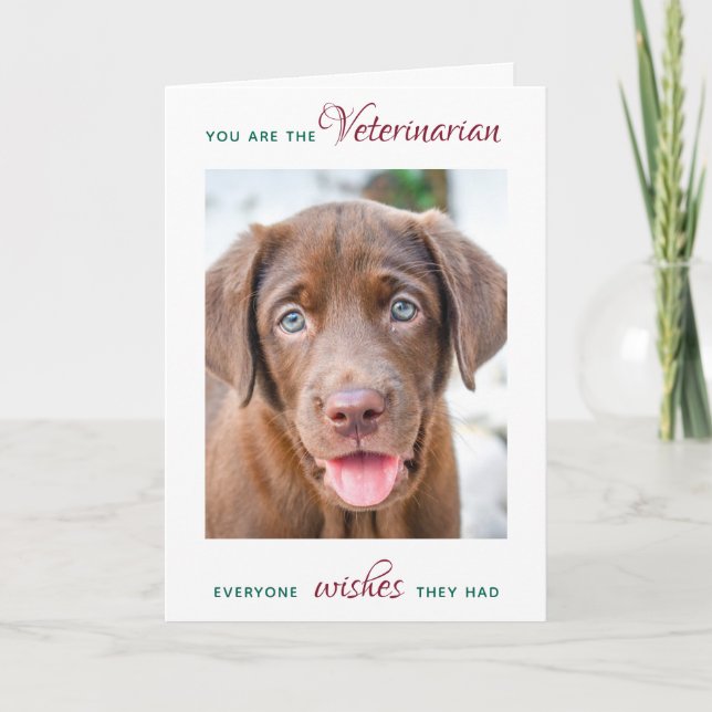 Veterinarian Personalized Christmas Pet Photo Holiday Card (Front)