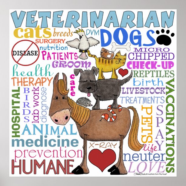 Veterinary Art & Wall Décor Zazzle