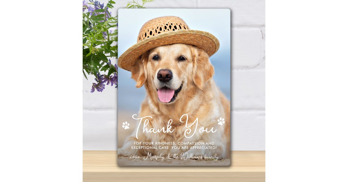 Veterinarian Thank You Veterinary Dog Pet Photo Plaque | Zazzle