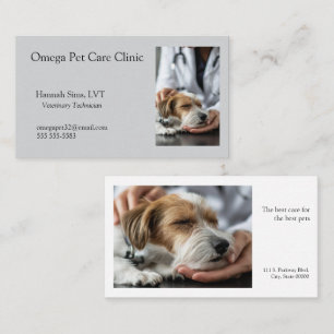 Veterinarian treats an ailing dog business card