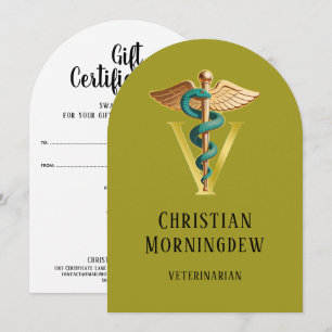 Veterinarian V symbol of Caduceus 1 Holiday Card