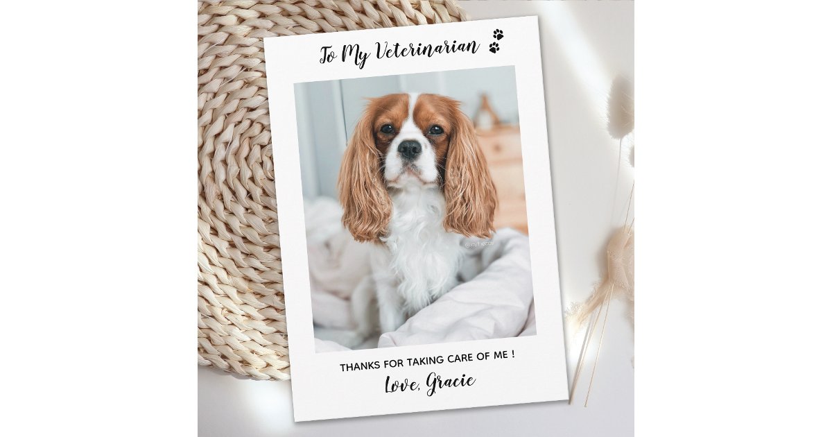 Veterinarian Vet Tech Pet Photo Veterinary Thank You Card | Zazzle