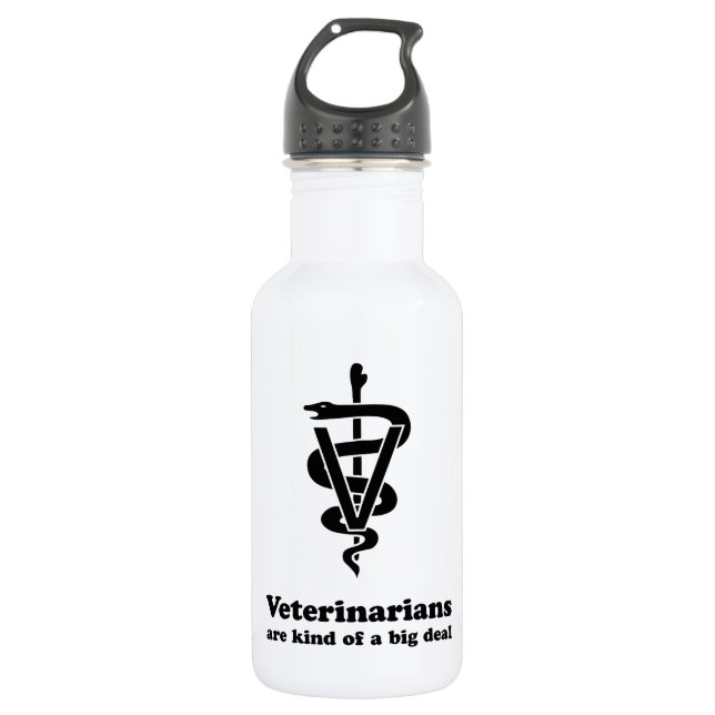 Veterinarians Are Kind of a Big Deal Stainless Steel Water Bottle (Front)