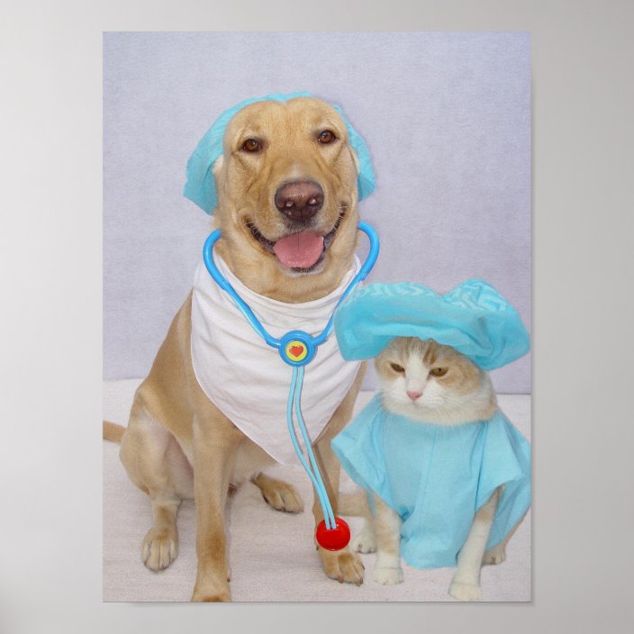 Veterinarian's Poster