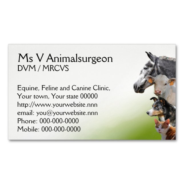 Veterinary all animals practice magnetic business card (Front)