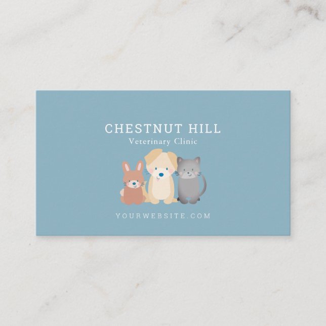 Veterinary Animal Clinic Slate Blue Business Card (Front)