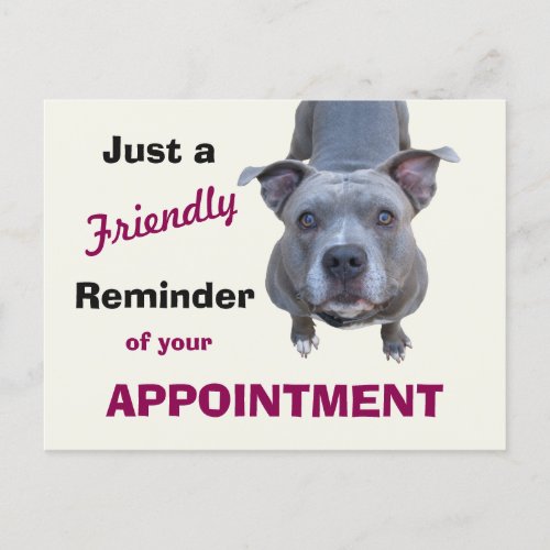 Veterinary Appointment Reminder Pitbull Postcard