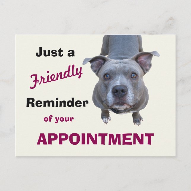 Veterinary Appointment Reminder Pitbull Postcard (Front)