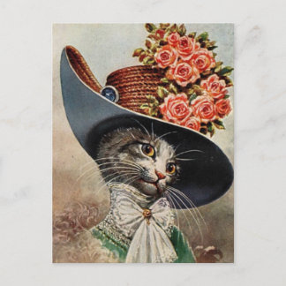 Veterinary Appointment Reminder Postcard