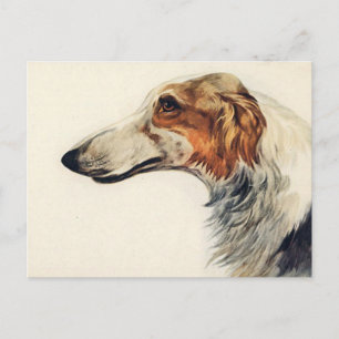 Veterinary Appointment Reminder Postcard