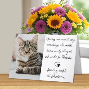 Veterinary Appreciation Pet Photo Veterinarian Letterpress Thank You Card