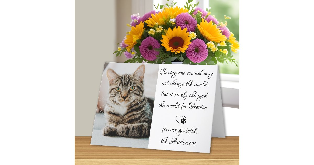 Veterinary Appreciation Pet Photo Veterinarian Thank You Card | Zazzle