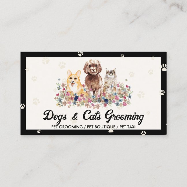 Veterinary Assistant Clinic Contact Business Card