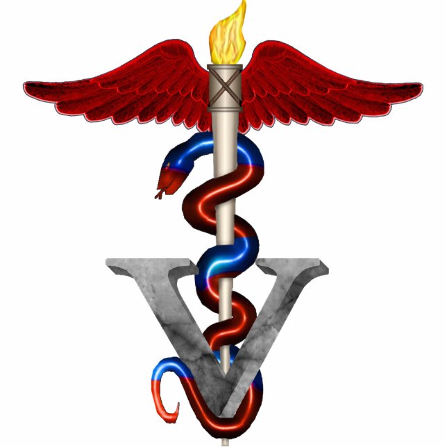 Veterinary Caduceus Cutout (Front)