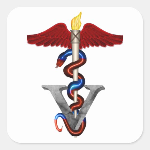 Veterinary Caduceus Square Sticker