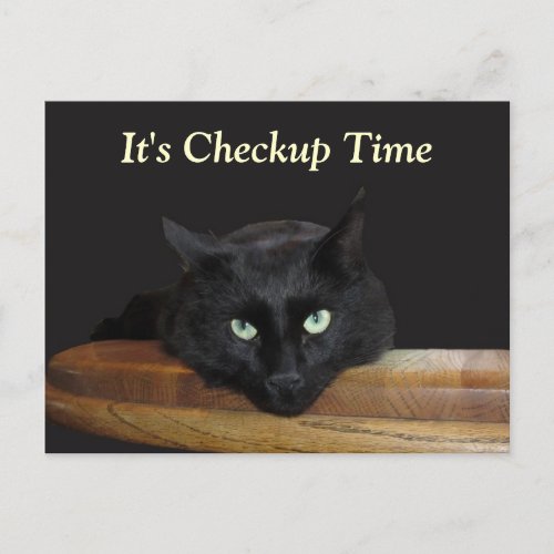 Veterinary Checkup Funny Black Cat Postcard