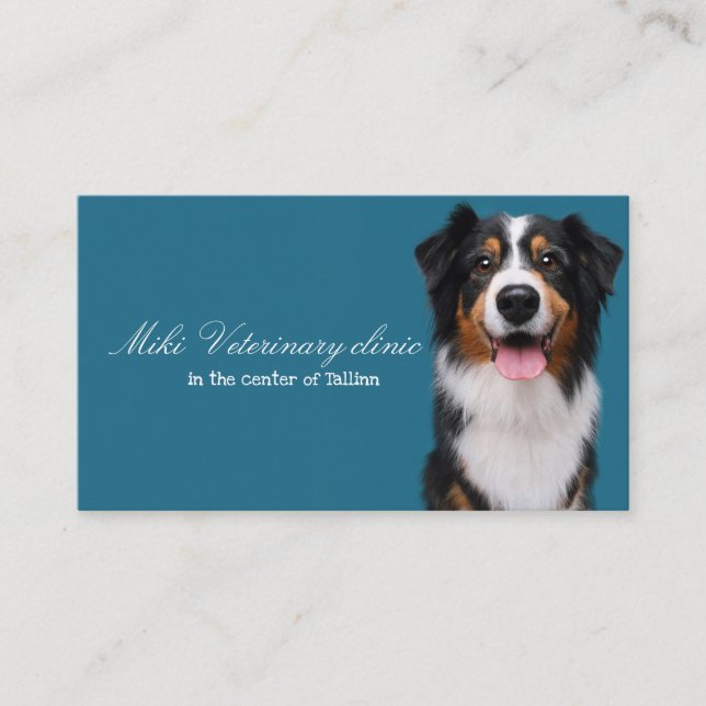 Veterinary clinic Business Card (Front)