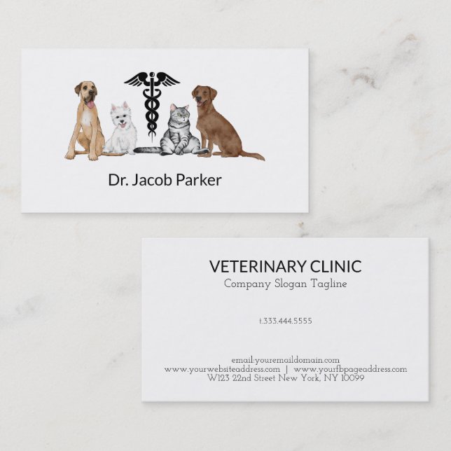 Veterinary Clinic Business Card (Front/Back)